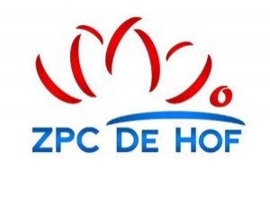 Zwemkleding met korting voor Zwemvereniging ZPC De Hof uit GOOR Provincie Overijssel